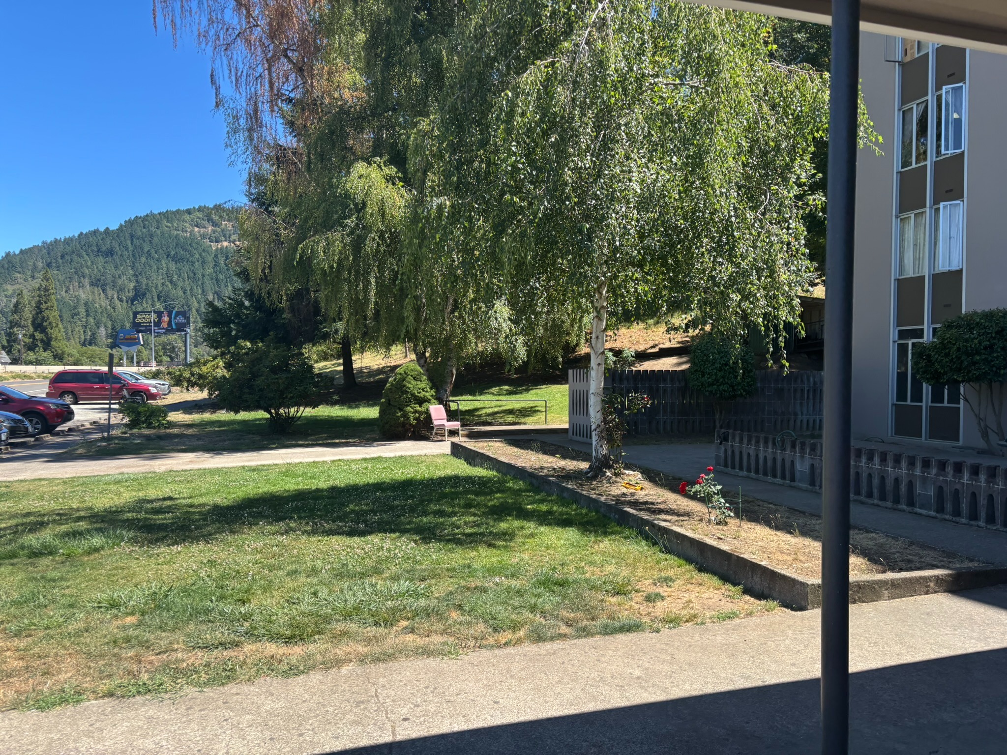 Forest Glen courtyard with grass and mature trees